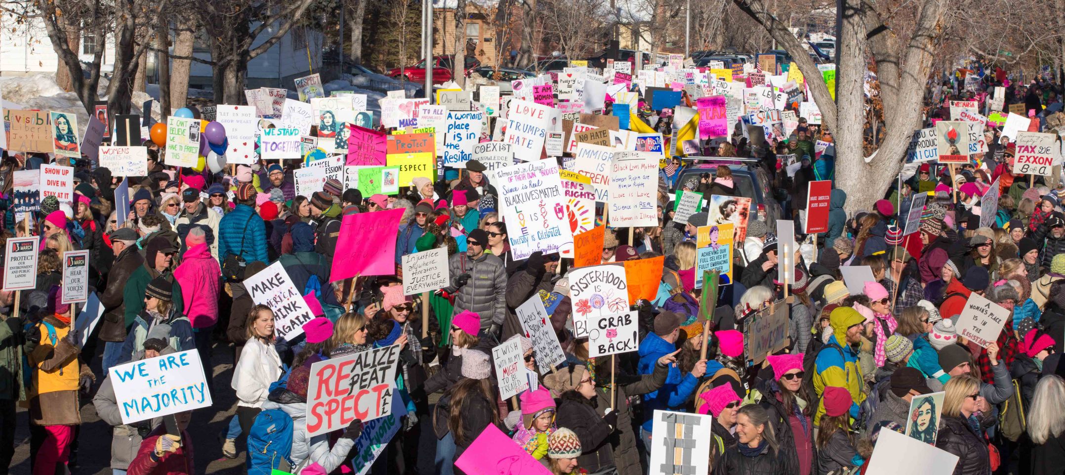 Montana Women's March
